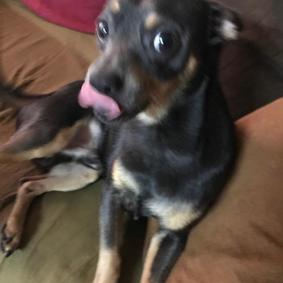 Mr Caught Off Guard